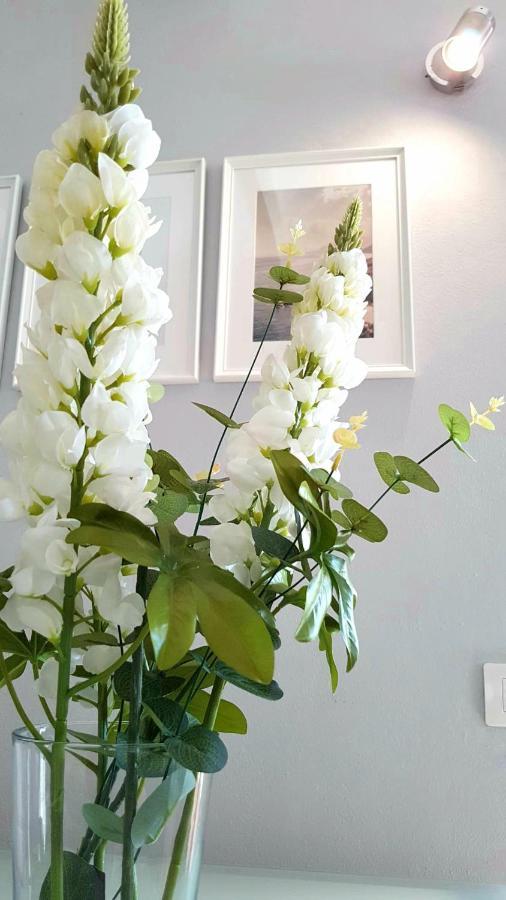 Apartament Atico En El Corazon De Cruz/ Cozy Penthouse