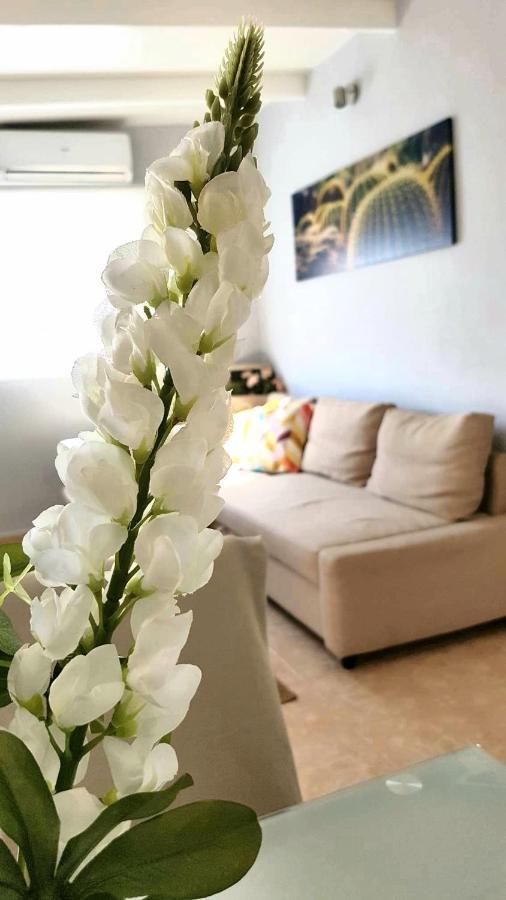 Atico En El Corazon De Cruz/ Cozy Penthouse Apartament *